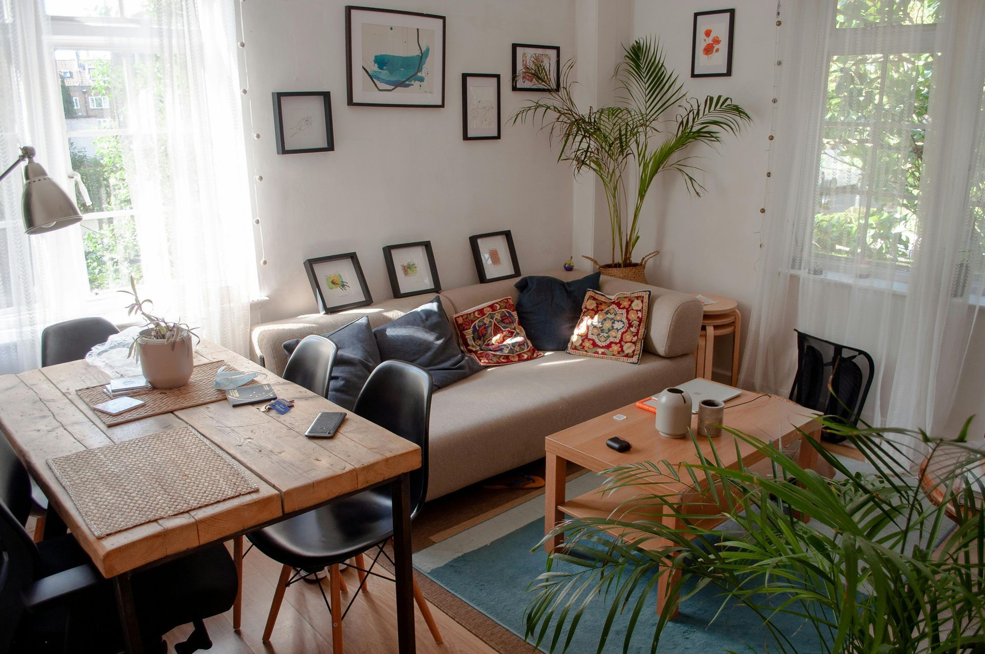 A modern apartment with a couch, picture frames, rug, coffee table and tropical plants