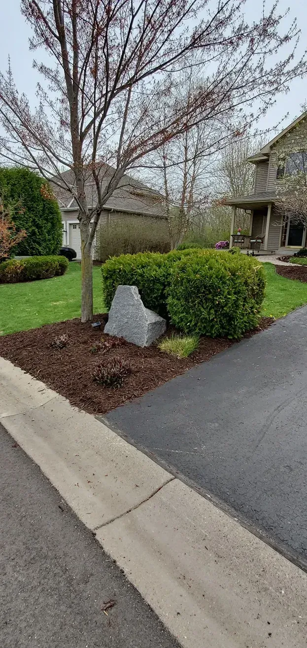 A tree with pink buds, a bush, a gray rock, and part of a house on a driveway.