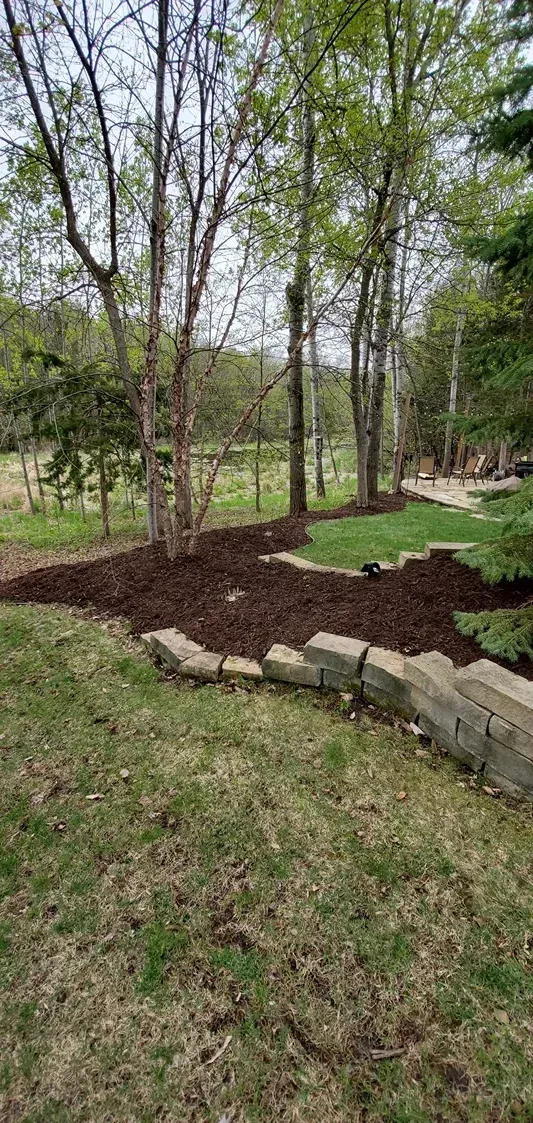 A landscaped yard with trees and mulch beds bordered by stone.