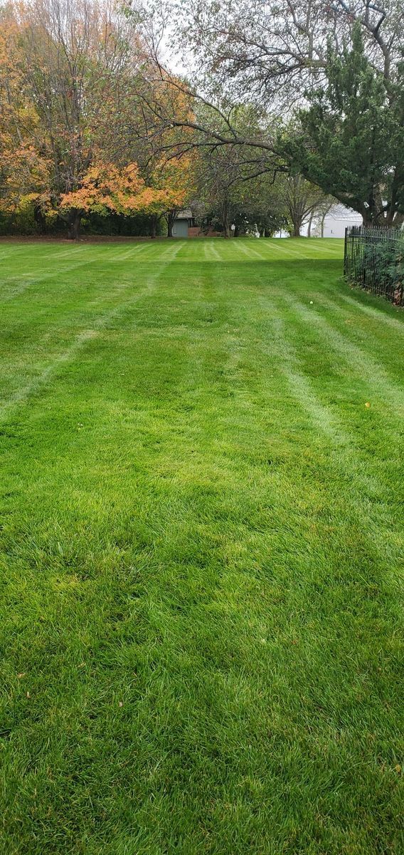 Lush green lawn with freshly mowed stripes, trees with colorful foliage in the background. Overcast sky.