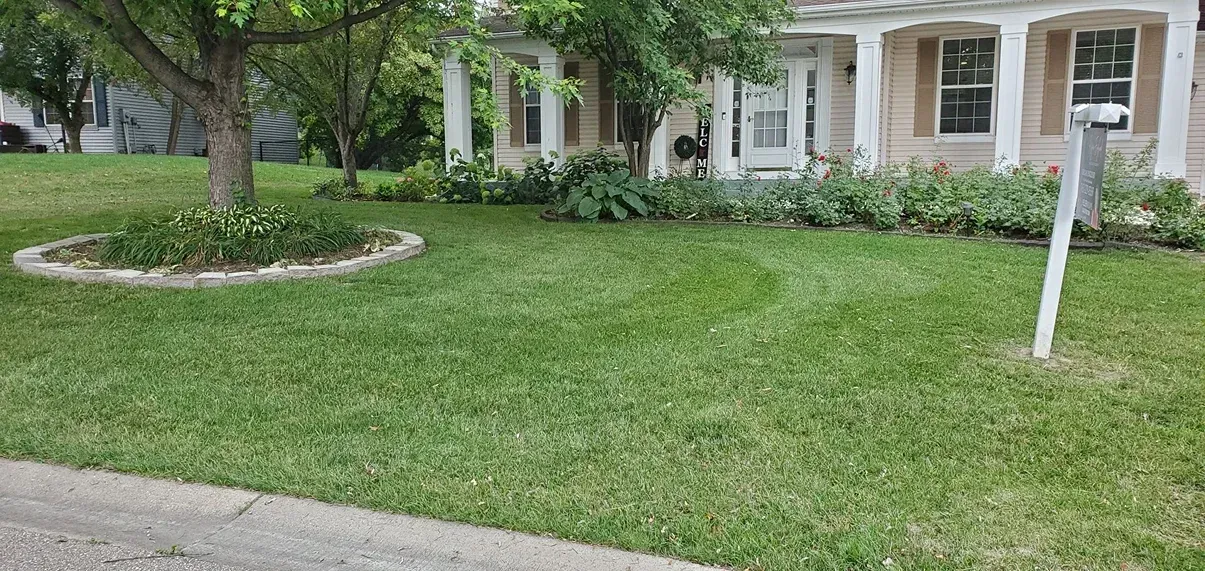 Lush green lawn in front of a light-colored house with white columns. A tree is near the left, a mailbox on the right.
