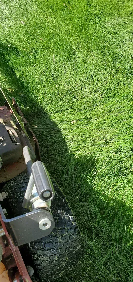 Lawn mower next to a grassy area. Grey handle and the wheel are visible.