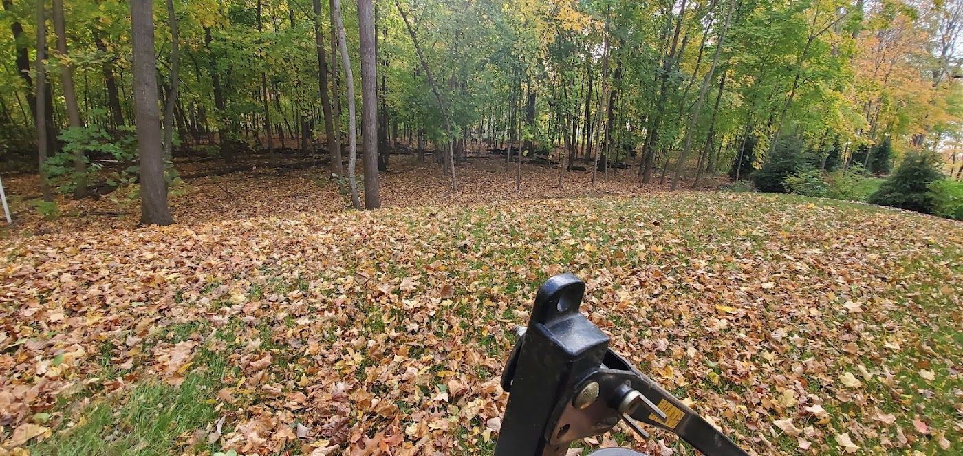 A leaf-covered yard with trees in the background. A portion of equipment is in the foreground.