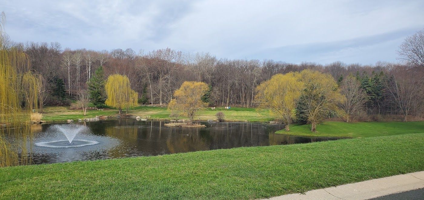 Pond with fountain, lush green grass, and trees with bare branches under cloudy sky.