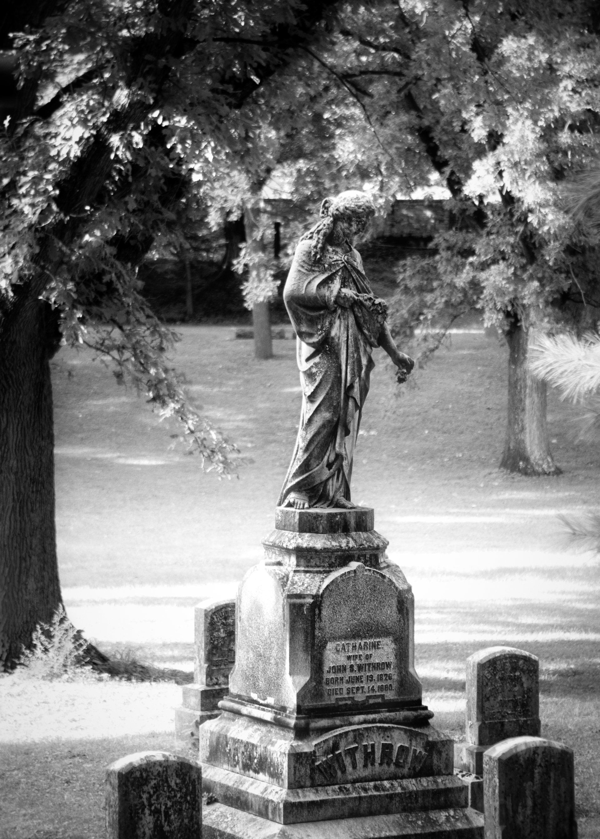 leaving only flowers