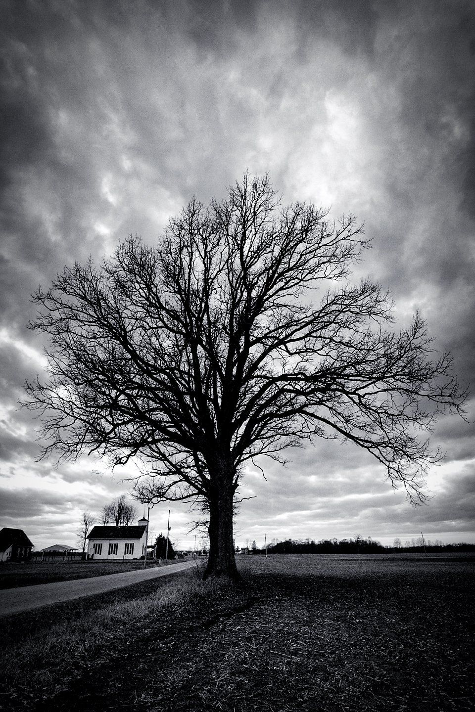 tree and church