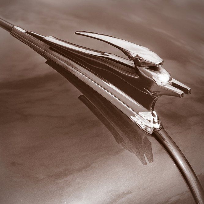 Leaping Impala - Chevy Custom