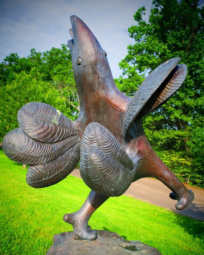 Midnight Serenade -Pokey Park