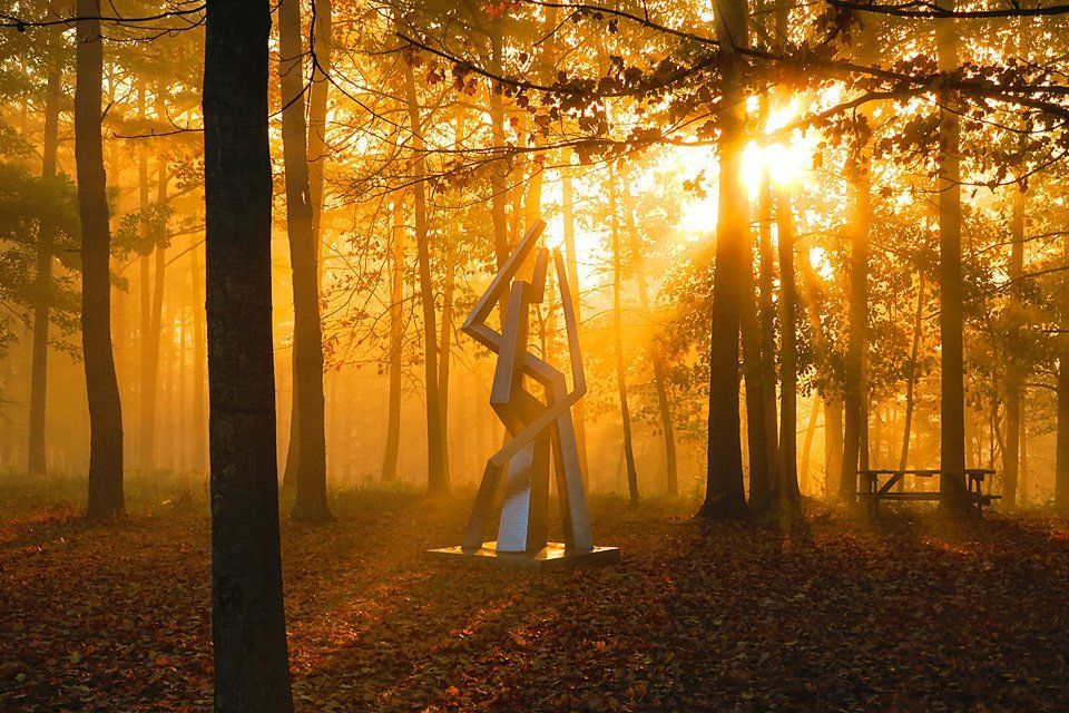 Triumph -Michael Tearney