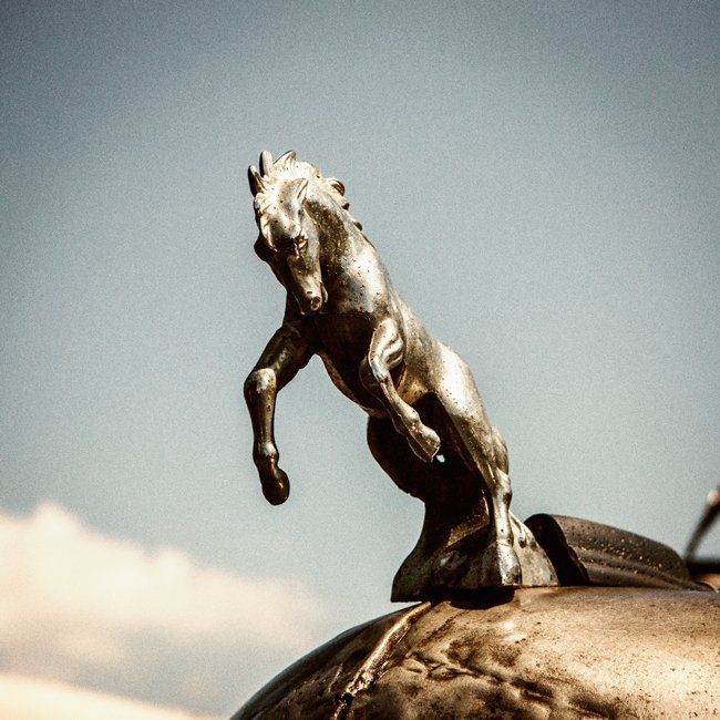 Horse hood ornament