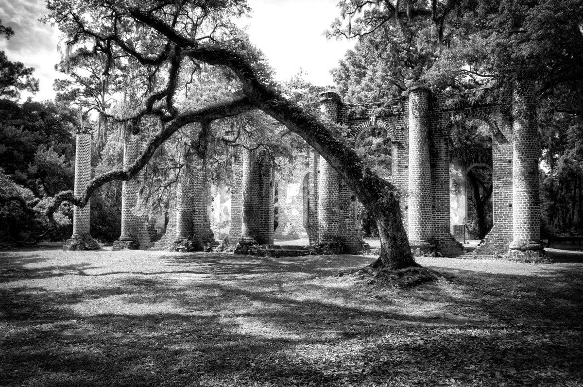 sheldon church angled trees