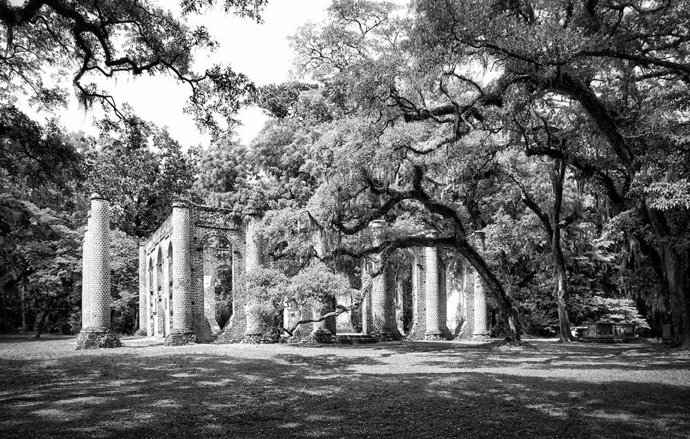 sheldon church trees
