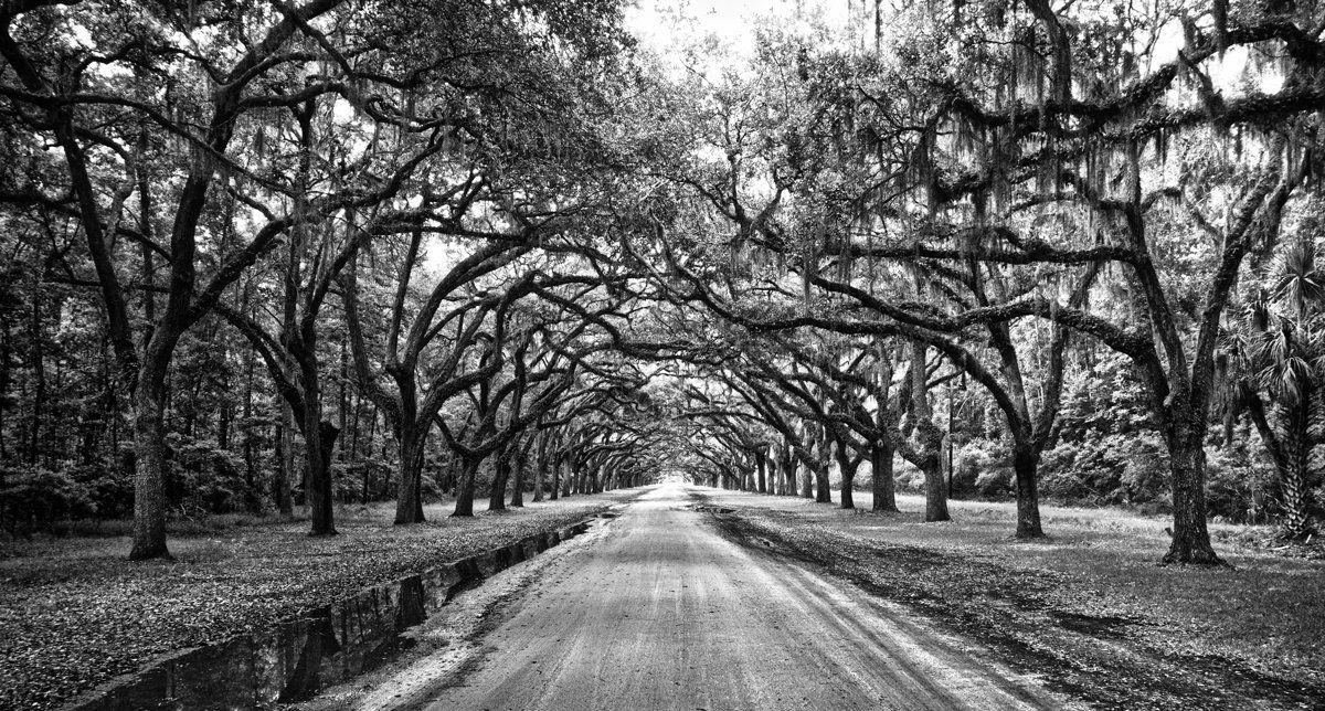 wormsloe entrance