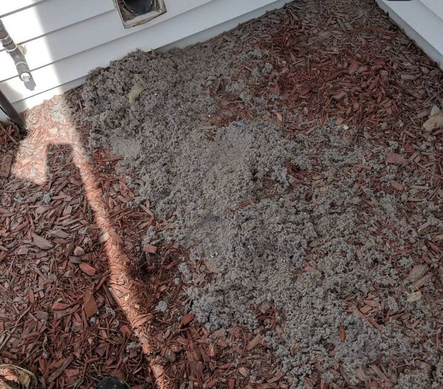 debris from a dryer vent cleaning