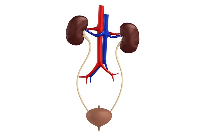 DR. SAÚL ROMERO DUARTE - VÍAS URINARIAS