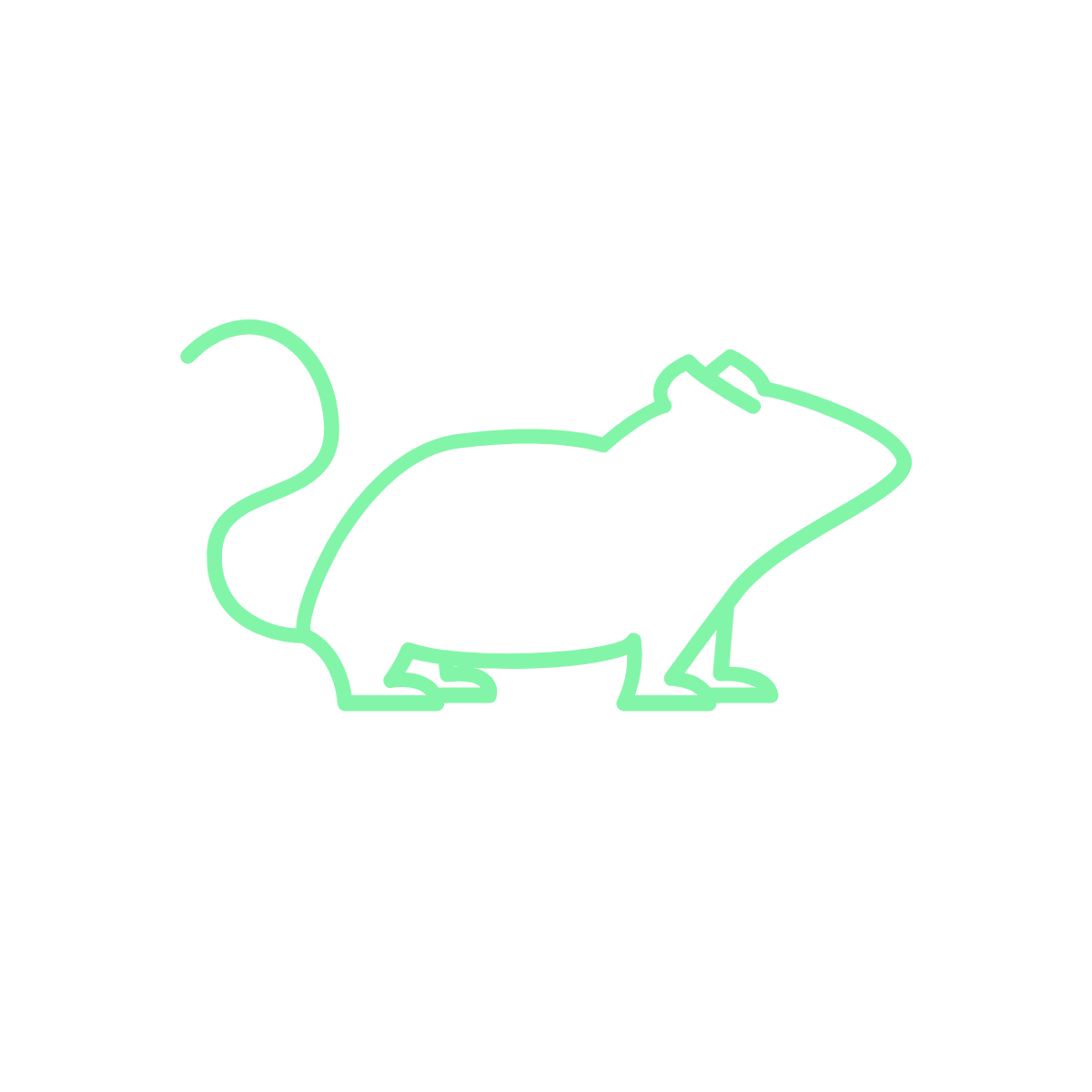 Kjerringråd mot mus