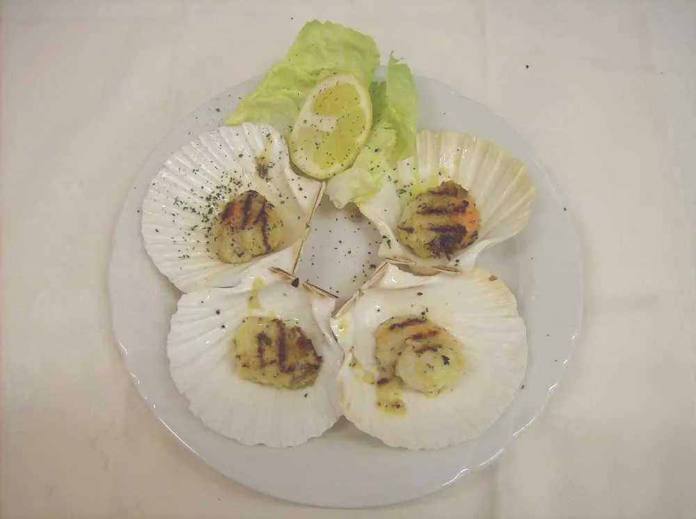 scallops