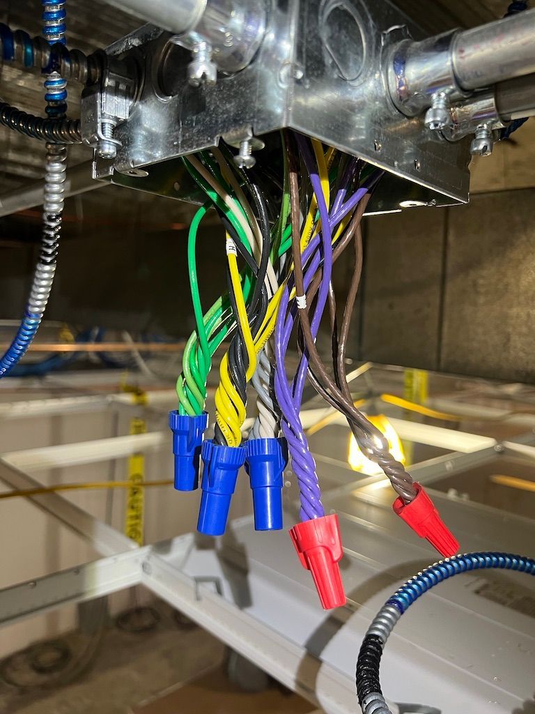 Electrical wires with wire connectors emerge from a metal junction box, various colors.