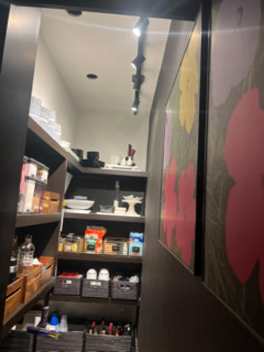 Pantry with shelves of food and supplies. Dark walls, track lighting, and a floral artwork in the hall.