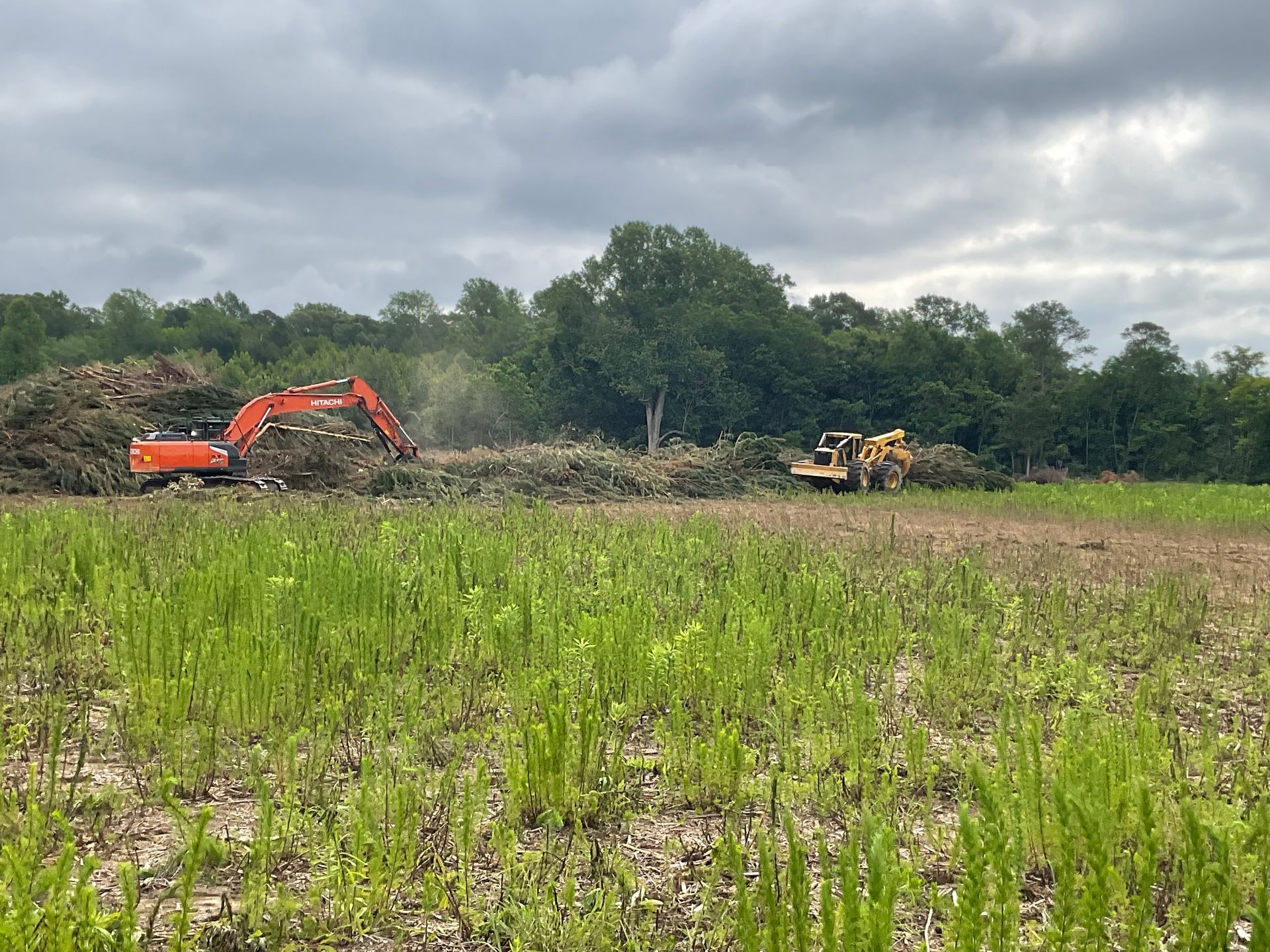 Yellow bulldozer clearing a logged area, smoke in the background.