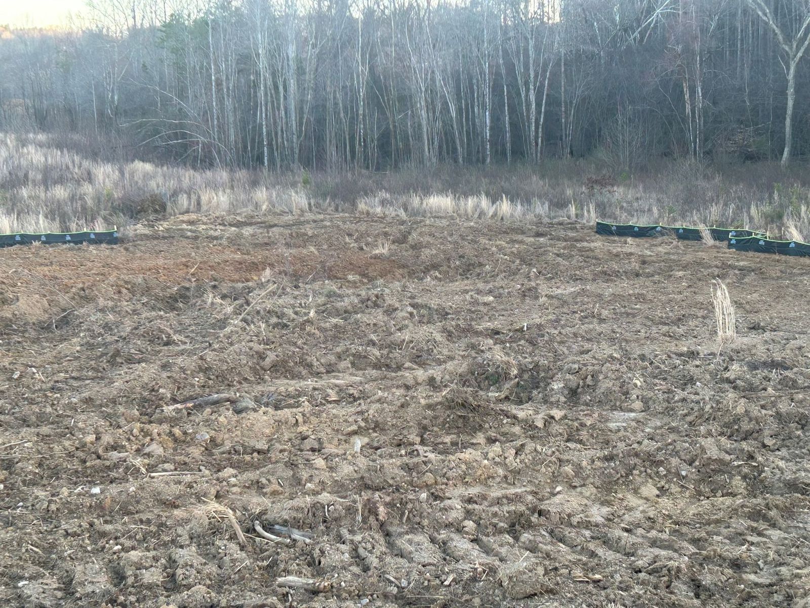 Muddy field in front of a line of trees. Black objects are lined up in the background.