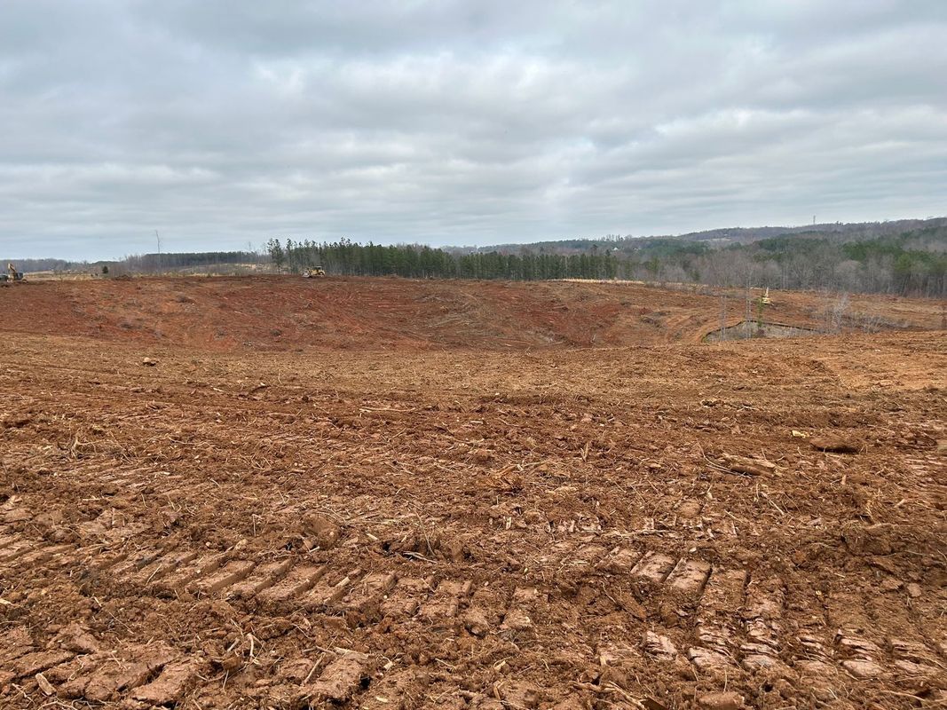 Field of brown dirt and dead vegetation under a cloudy sky with a treeline in the distance.