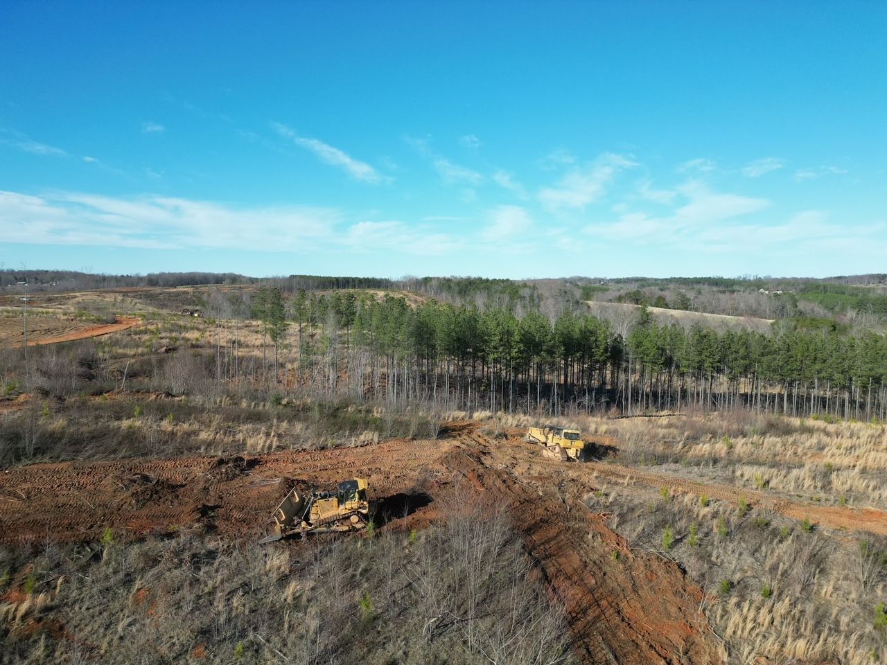 Two bulldozers clearing land on a sunny day with a row of pine trees in the background.