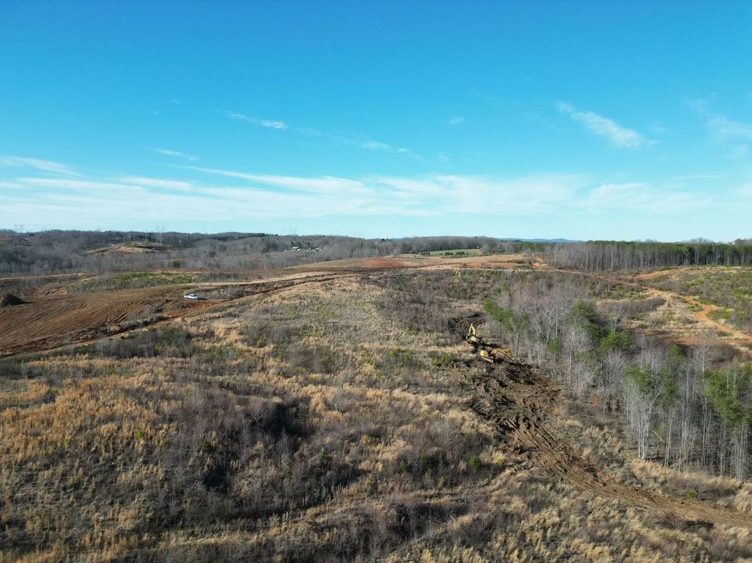 Open field with dried grasses and scattered trees under a blue sky.