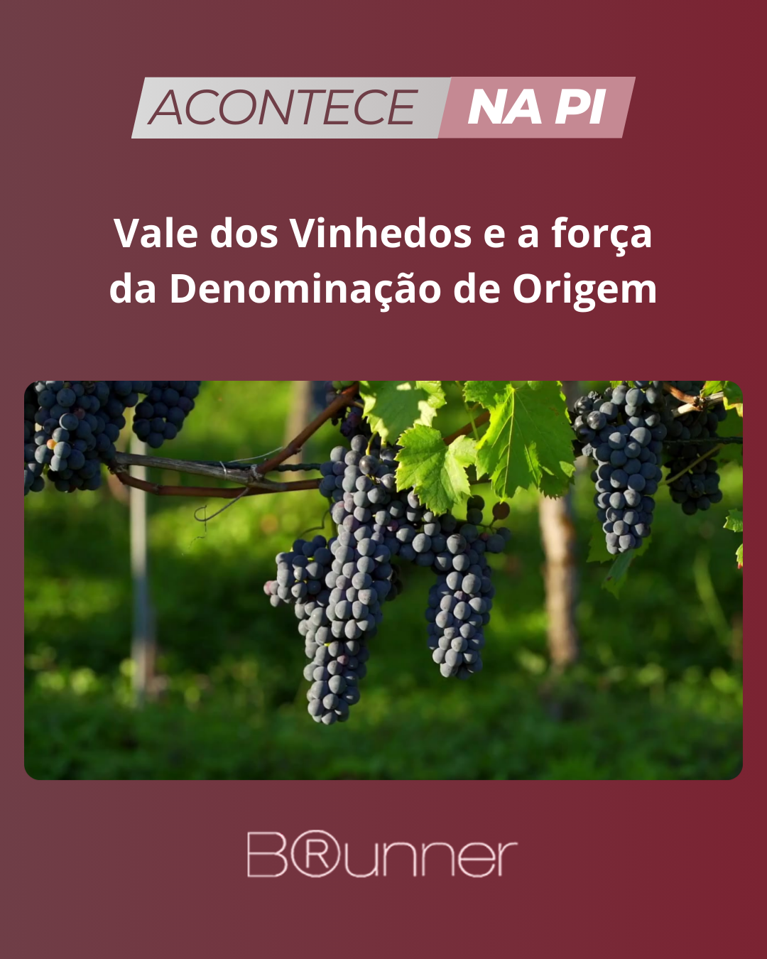 Vale dos Vinhedos e a força da Denominação de Origem