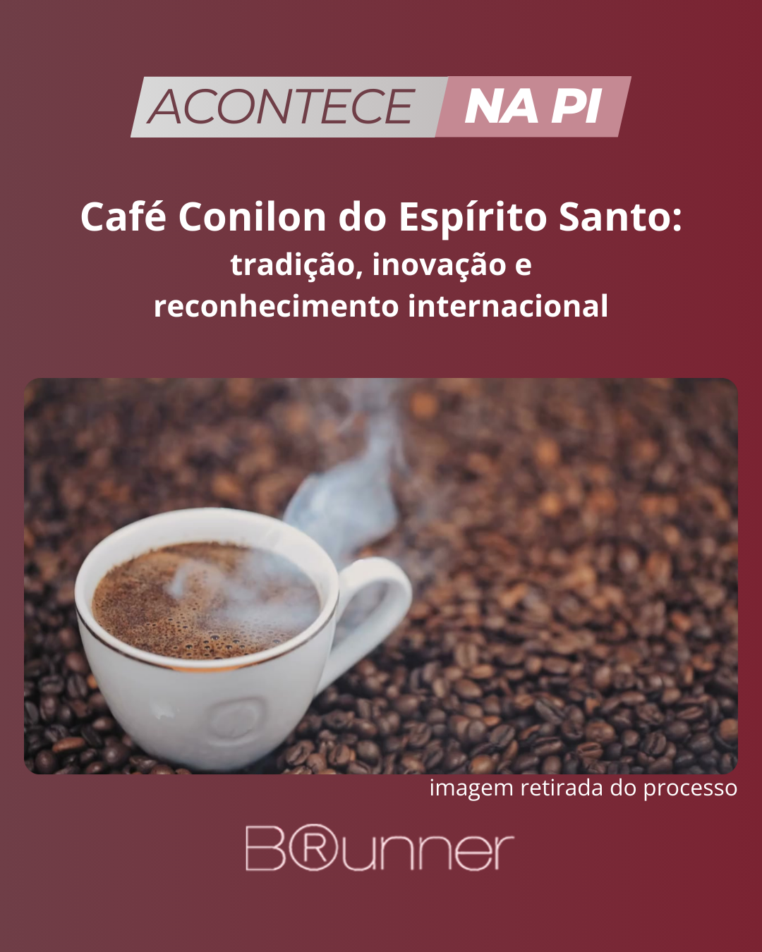 Café Conilon do Espírito Santo: tradição, inovação e reconhecimento internacional
