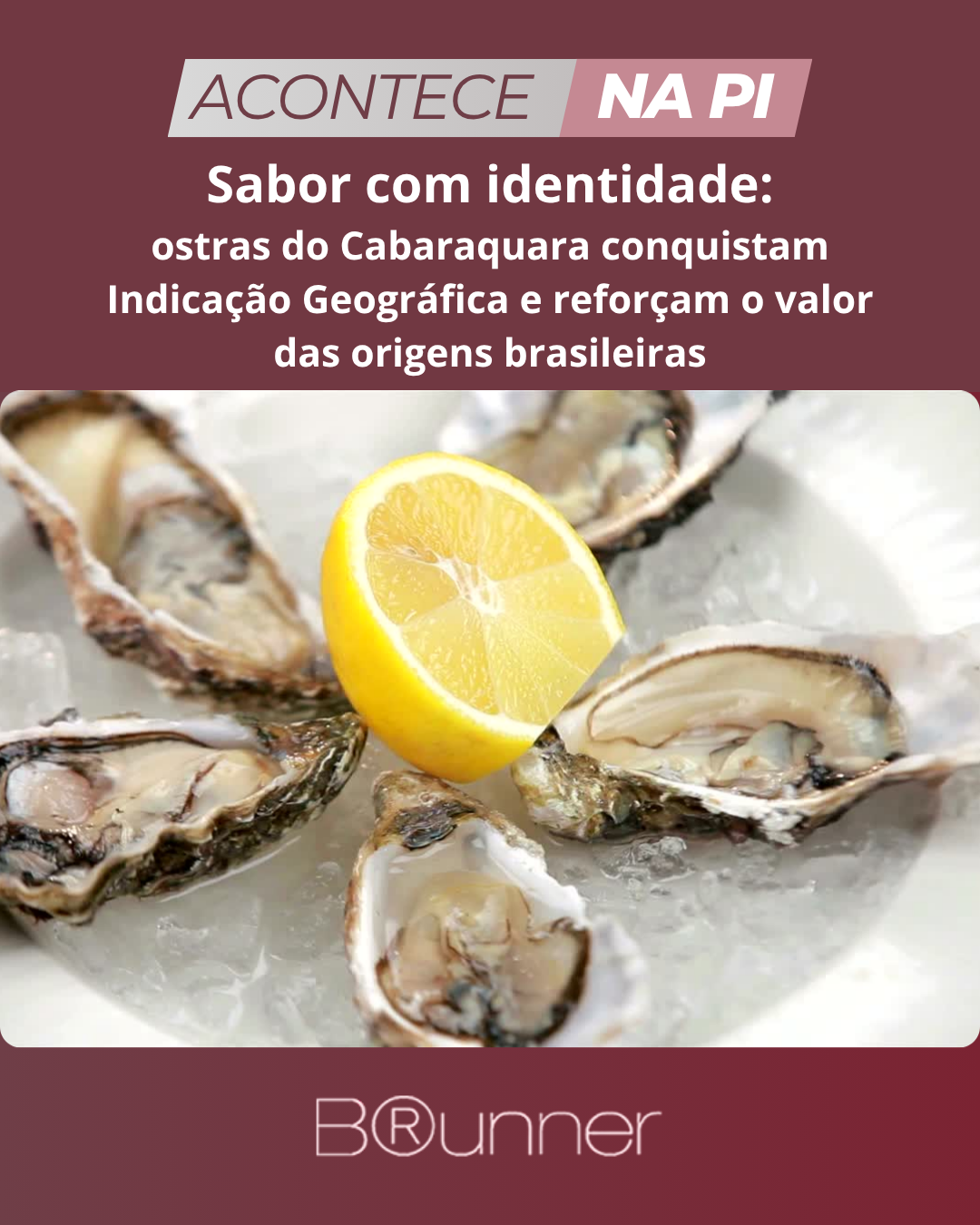 Sabor com identidade: ostras do Cabaraquara conquistam Indicação Geográfica e reforçam o valor