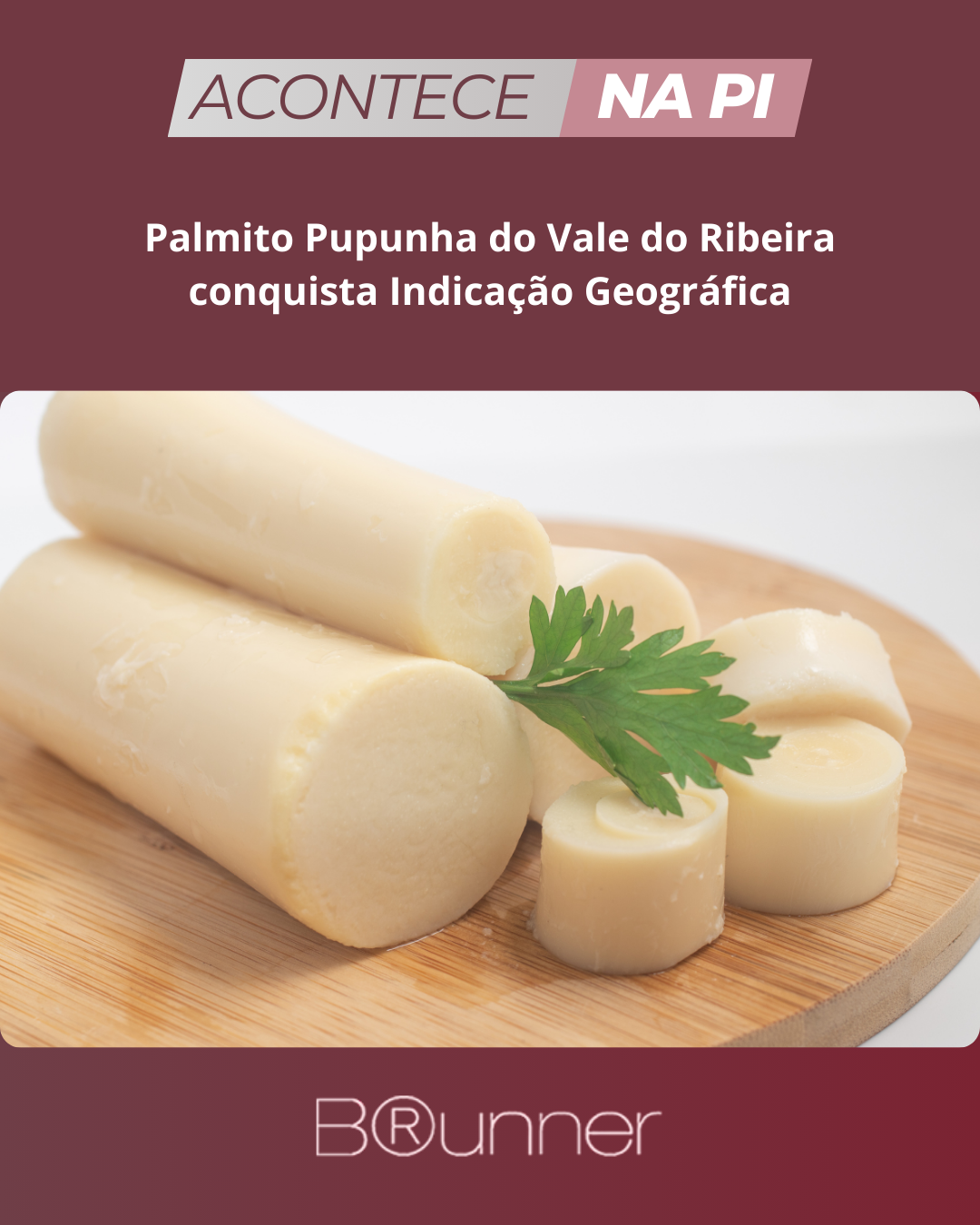 Palmito Pupunha do Vale do Ribeira conquista Indicação Geográfica