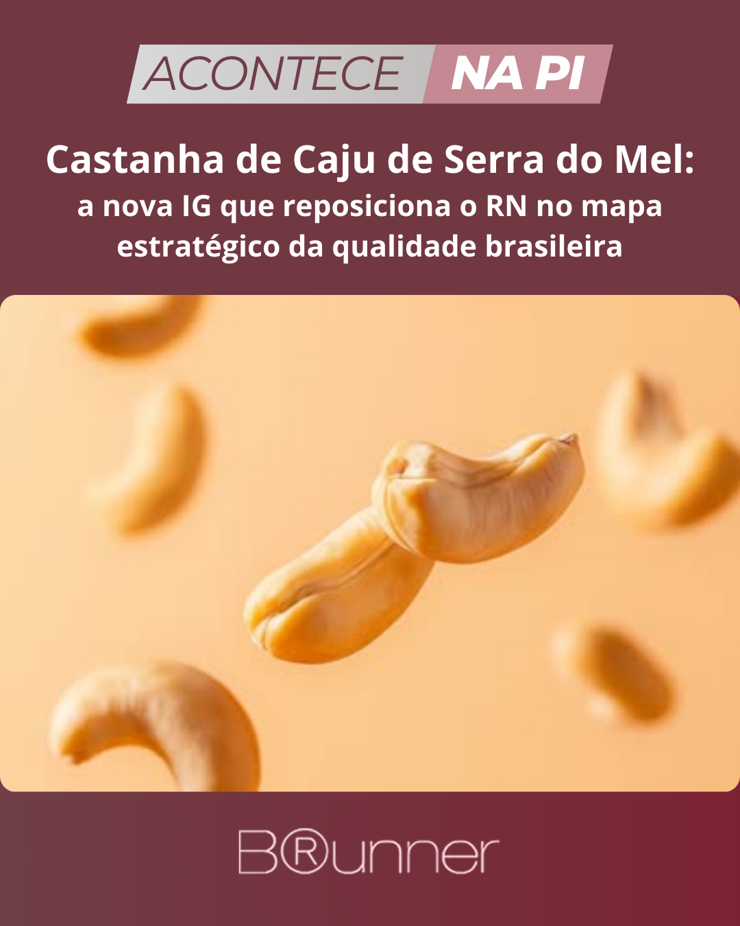 Castanha de Caju de Serra do Mel: a nova IG que reposiciona o RN no mapa estratégico da qualidade br