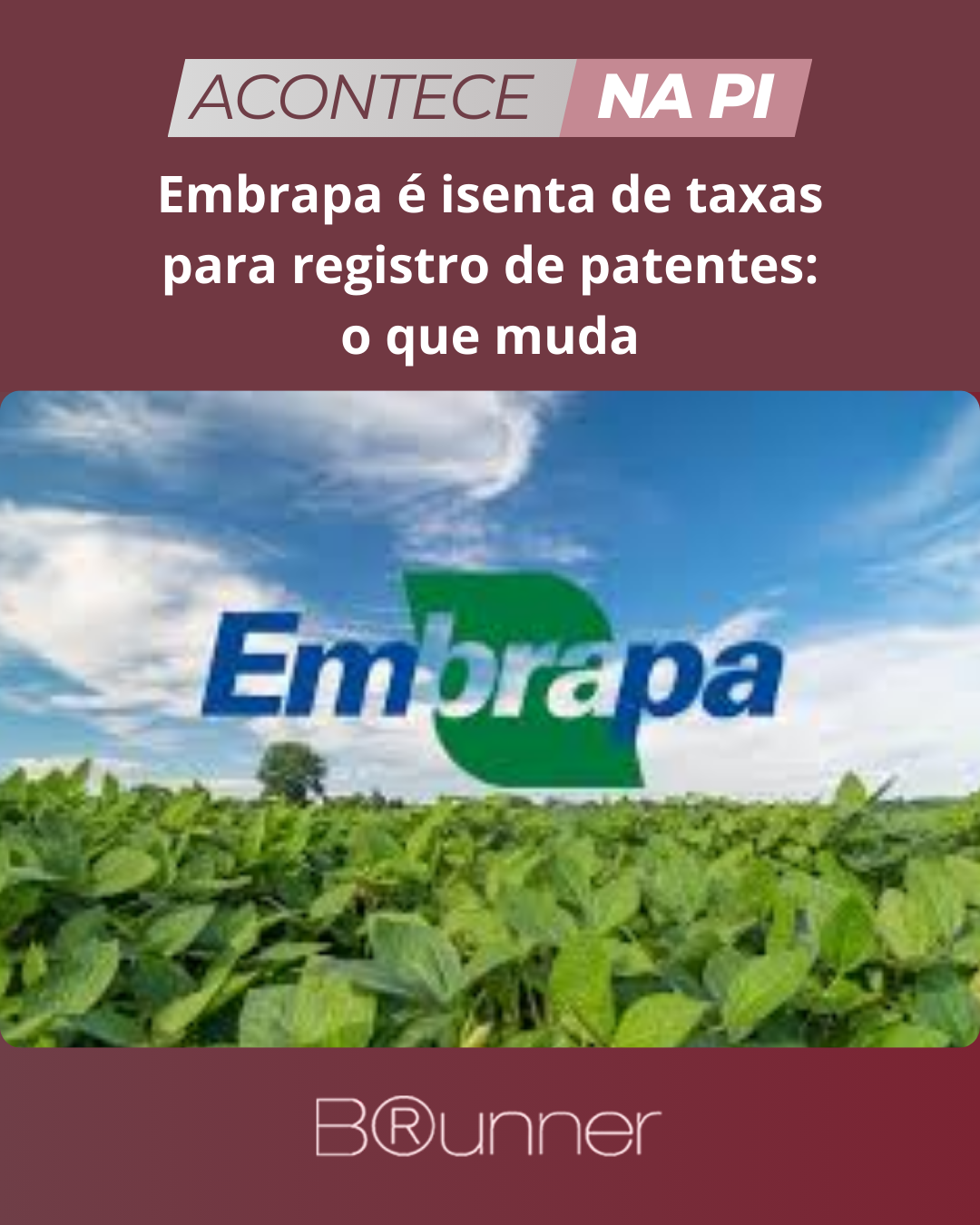 Embrapa é isenta de taxas para registro de patentes: o que muda