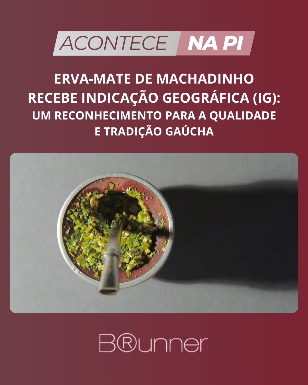 Erva-Mate de Machadinho Recebe Indicação Geográfica (IG): Um Reconhecimento para a Qualidade e Tradi