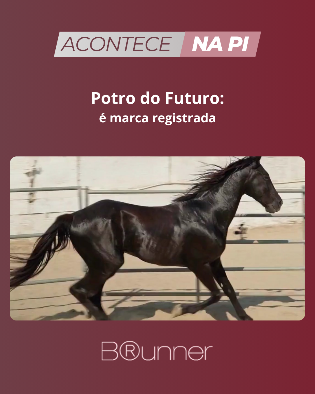 Potro do Futuro: é marca registrada