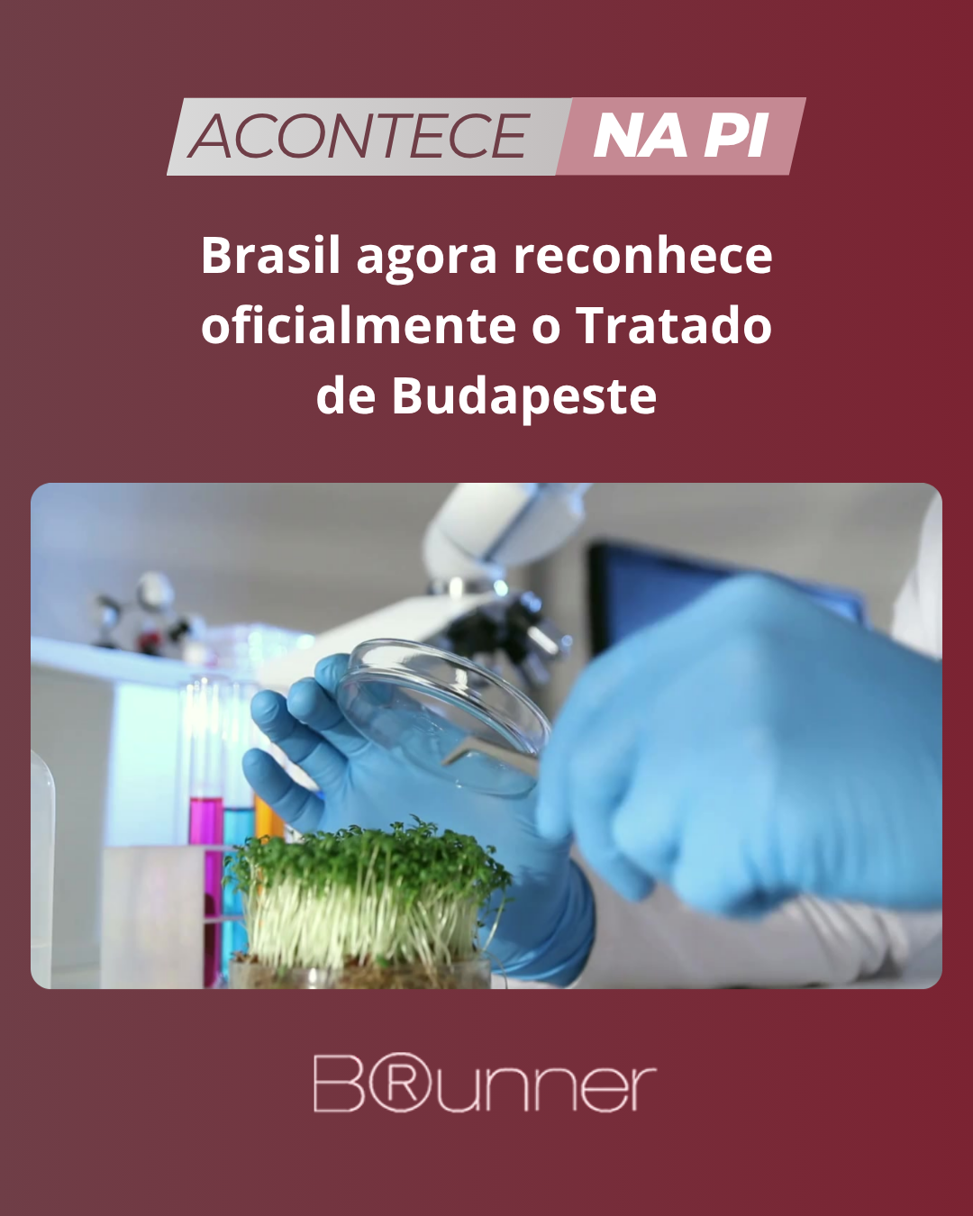 Brasil agora reconhece oficialmente o Tratado de Budapeste