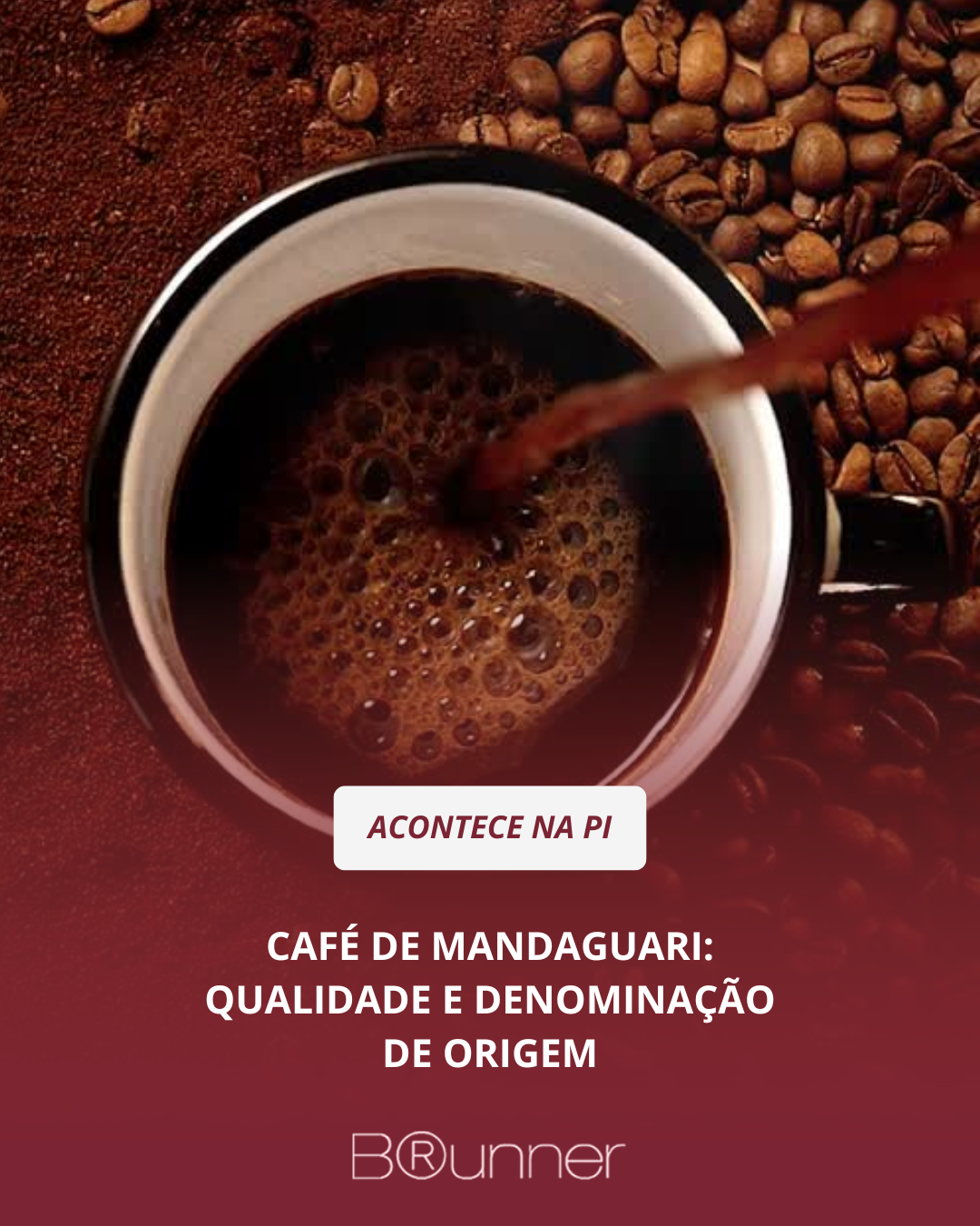 Café de Mandaguari: Qualidade e Denominação de Origem