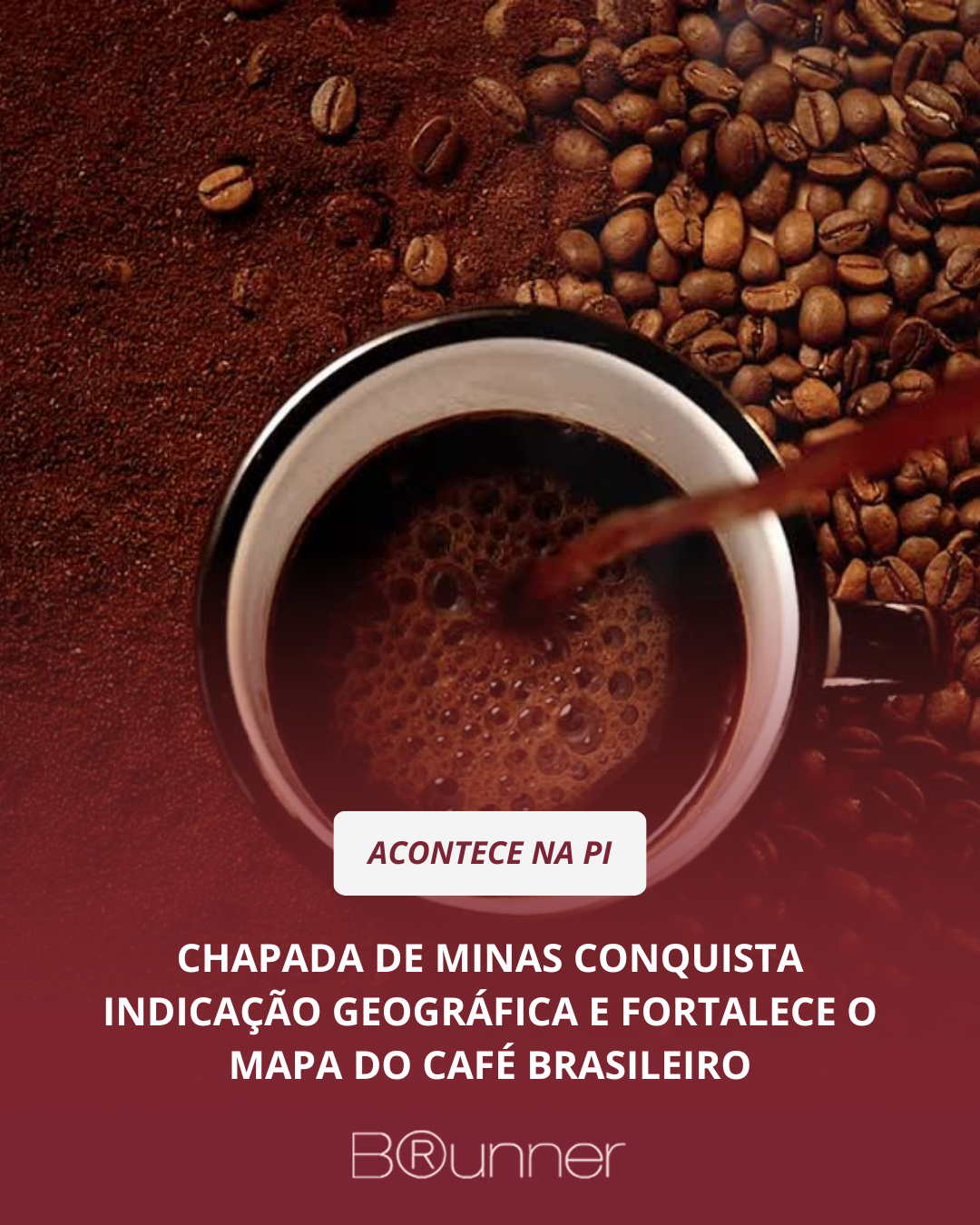Chapada de Minas conquista Indicação Geográfica e fortalece o mapa do café brasileiro