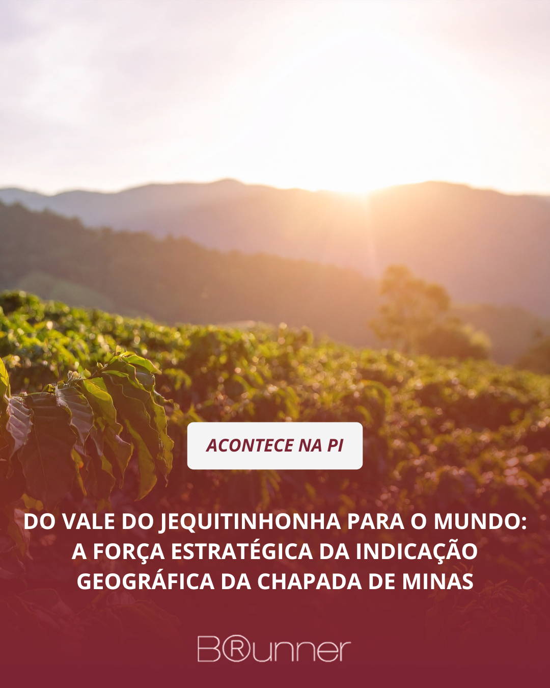 Do Vale do Jequitinhonha para o mundo: a força estratégica da Indicação Geográfica da Chapada de Min