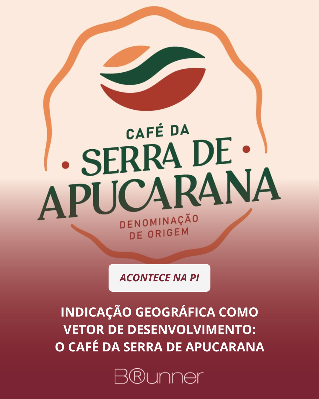 Indicação Geográfica como vetor de desenvolvimento: o café da Serra de Apucarana