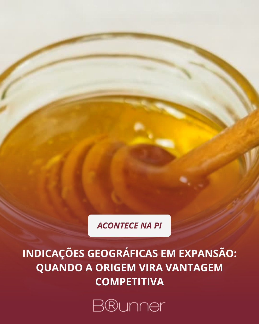 Indicações Geográficas em expansão: quando a origem vira vantagem competitiva