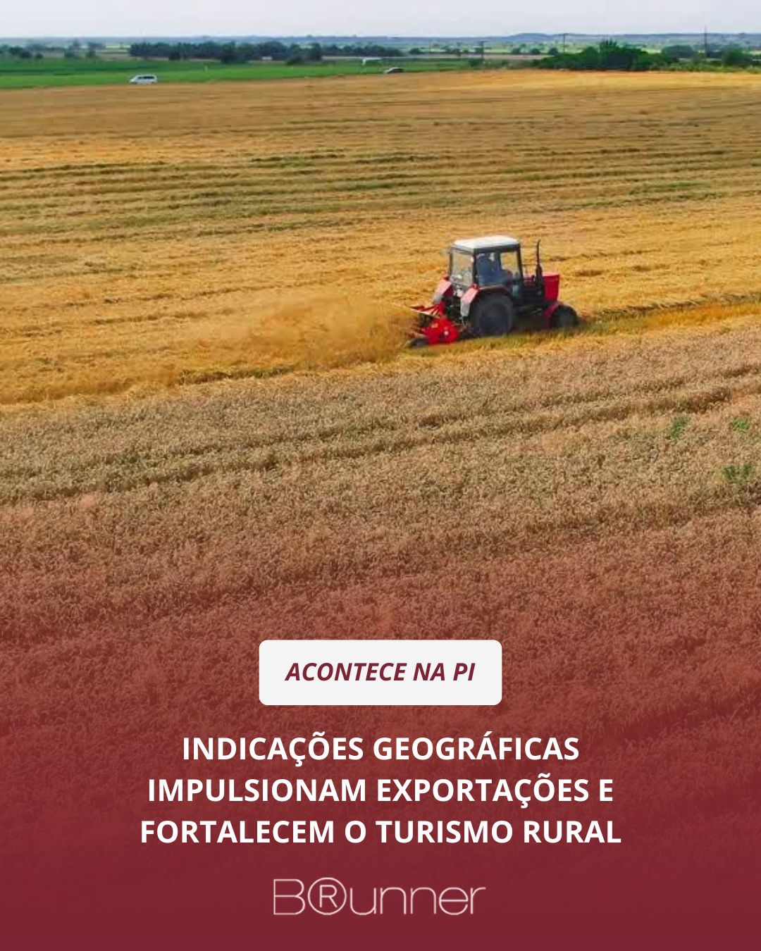Indicações Geográficas impulsionam exportações e fortalecem o turismo rural