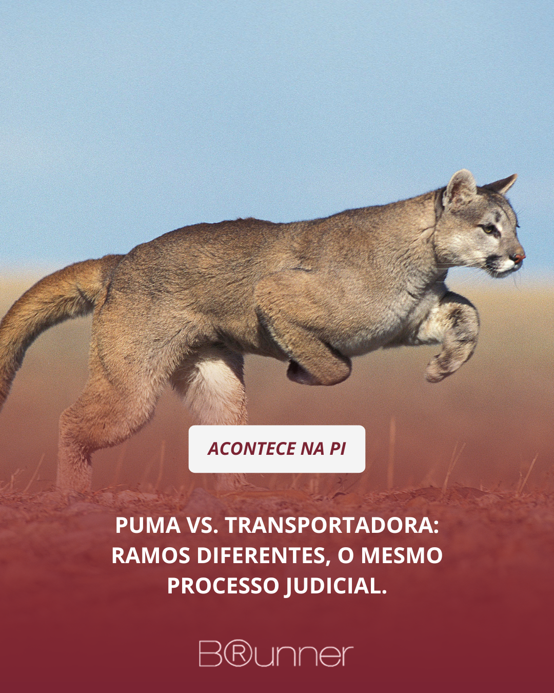 PUMA vs. Transportadora: Ramos diferentes, o mesmo processo judicial.