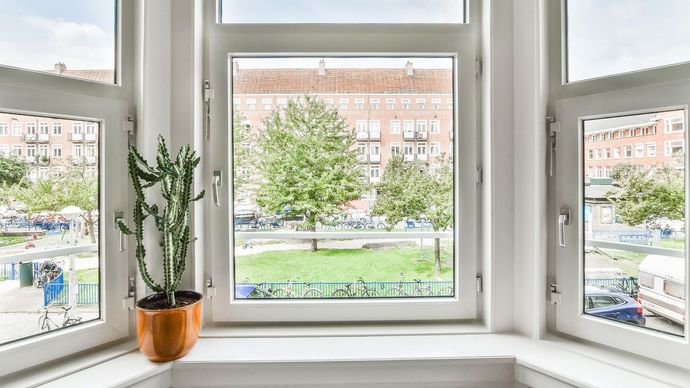 A potted plant is sitting on a window sill next to a window with a view of a park.