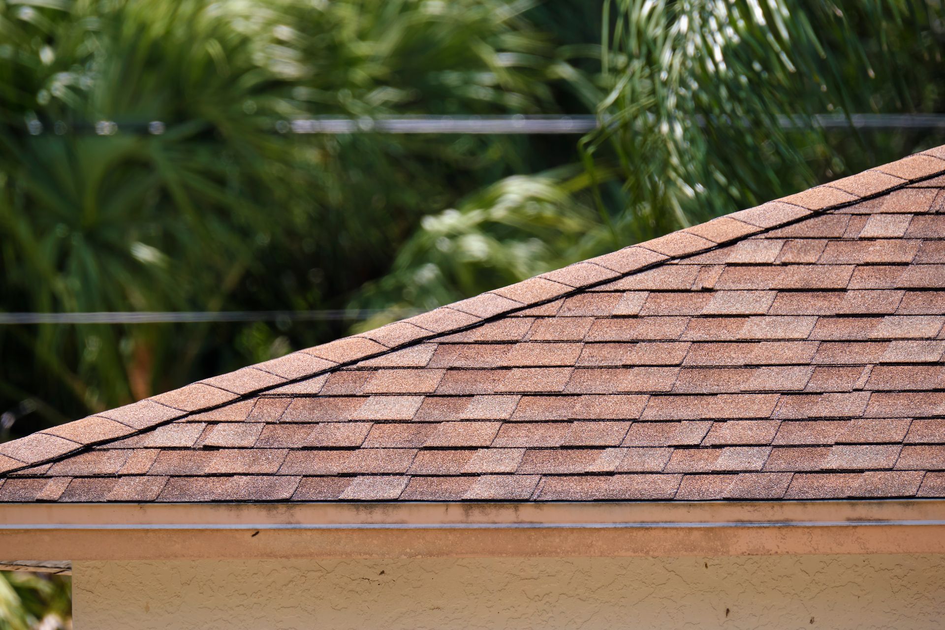 A close-up view of the reddish-brown asphalt shingle roof of a house with lush green trees in the background.