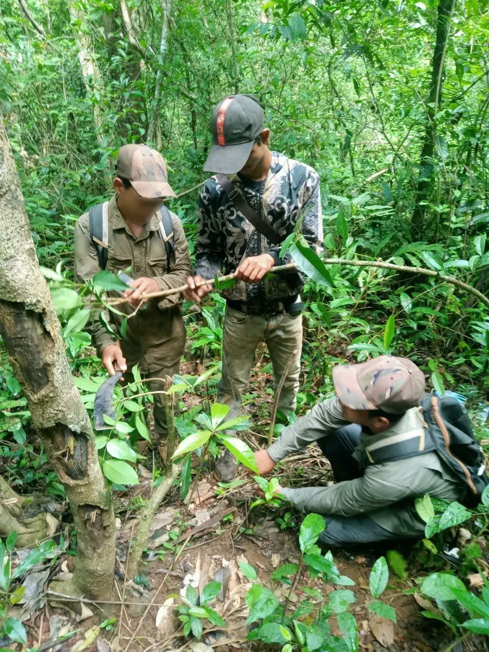 The Jahoo Forest Watch team removes a snare along a fence line.