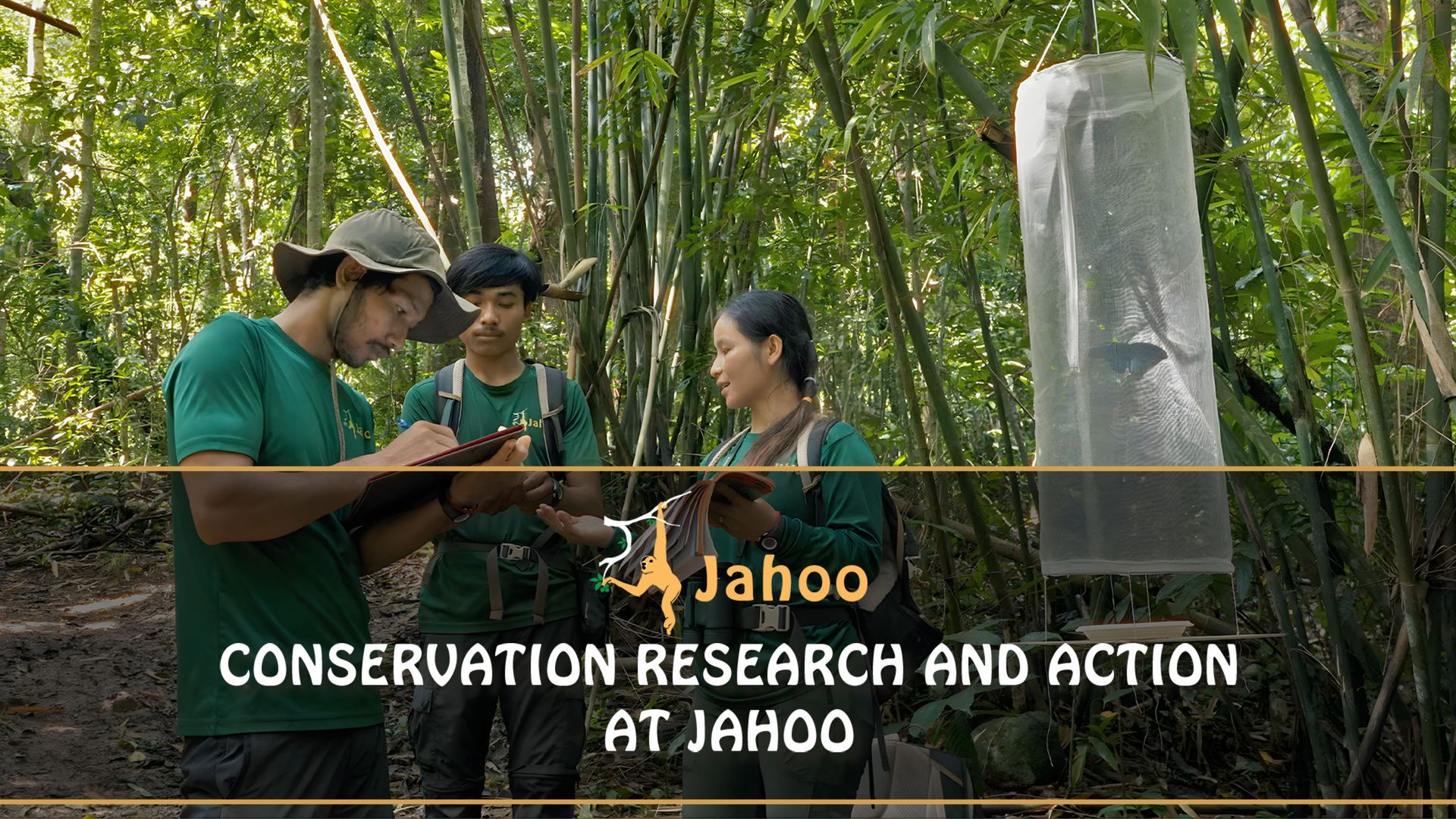 Jahoo research action