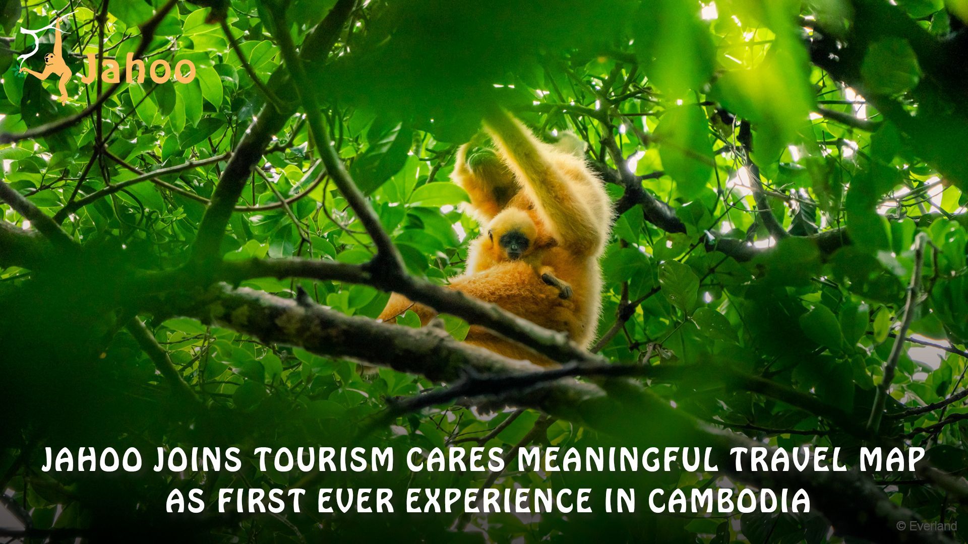 Jahoo becomes the first animals and nature experience in Cambodia featured on the Tourism Cares Mean
