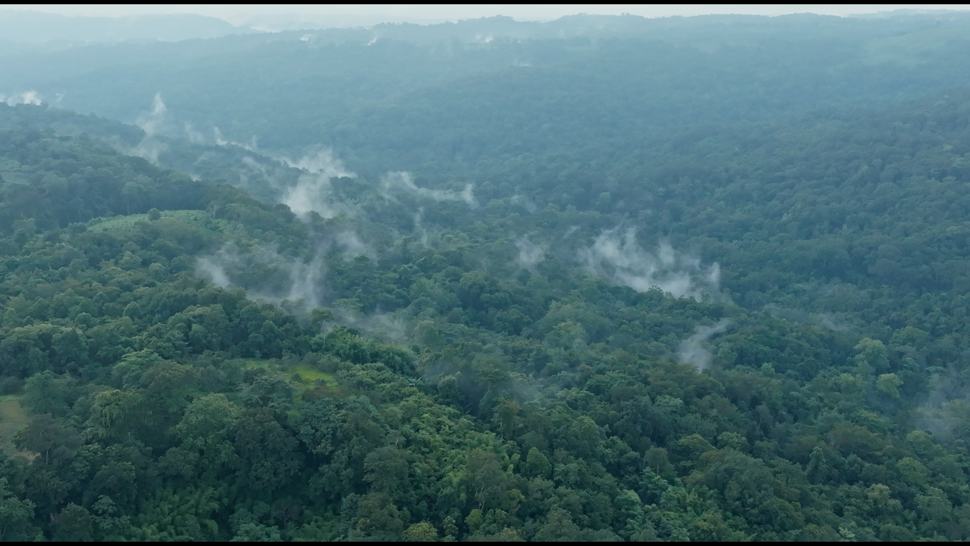 keo seima wildlife sancuary